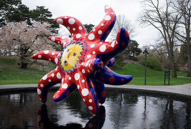 I Want to Fly to the Universe in the main reflecting pool nybg