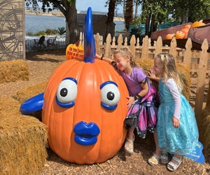 SeaWorld’s Spooktacular is the annual Halloween event for SoCal families looking for spooky season fun.