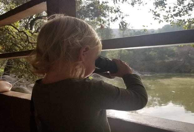 Kids can find ducks and other wildlife from the lookout deck at Descanso Gardens.
