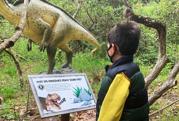 boy on dino trail