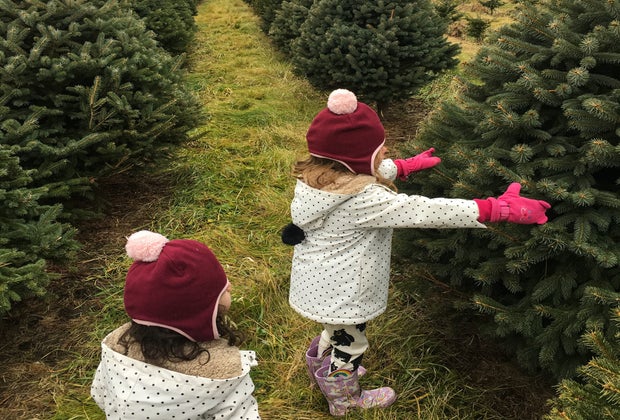 Christmas tree farms near Chicago