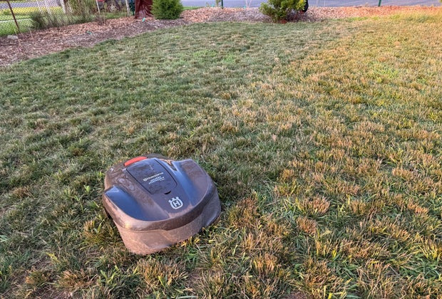 Robot Lawn Mower working on a grassy lawn.