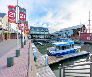 Baywatch Dolphin Tours are a fun, kid-friendly tour near Houston. Photo courtesy of Visit Galveston