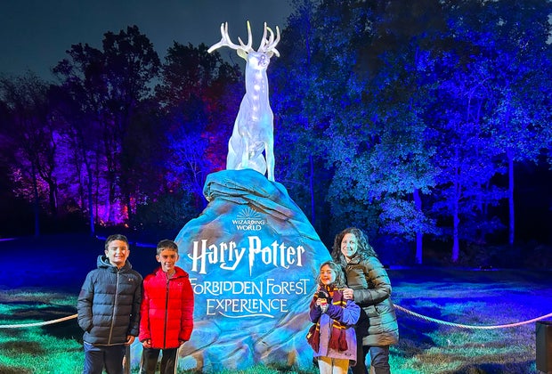 Harry Potter