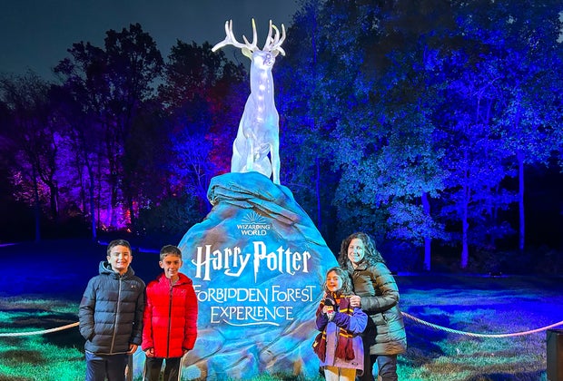 Image of a family at Harry Potter Patronus statue, Best of 2022