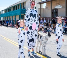 Celebrate the return of the swallows. Photo courtesy of the Swallows Day Parade Facebook page