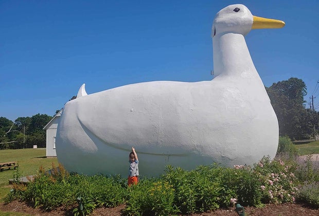 Big Duck: 100 Free Things To Do on Long Island with Kids