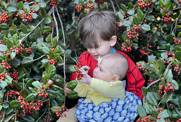 Bayard Cutting Arboretum : 100 Free Things To Do on Long Island with Kids