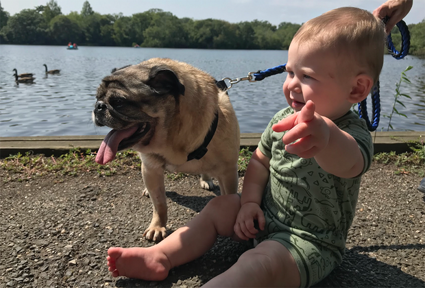 Belmont Lake State Park: 100 Free Things To Do on Long Island with Kids