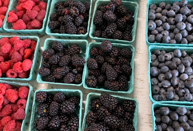 baskets of berries at Seven Ponds Orchard