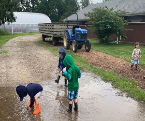 Toddlers too young for Suffolk County Farm’s summer camp can still get in on the fun with their Learn and Play program.  Photo by Gina Massaro