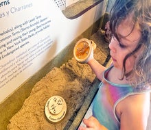 Jones Beach Energy and Nature Center's interactive exhibits are free. Photo by Gina Massaro