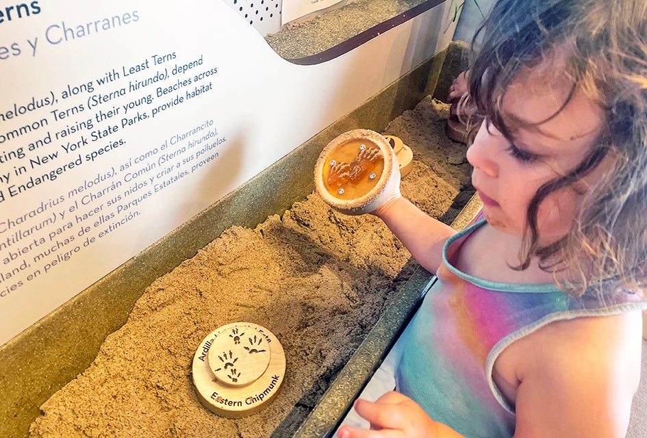 Jones Beach Energy and Nature Center's interactive exhibits are free. Photo by Gina Massaro