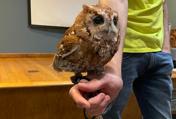 Get up close to wildlife at Tackapausha Museum and Preserve.