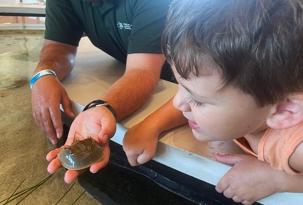 Visiting the Jones Beach Nature Center with Kids: Everything You Need to Know
