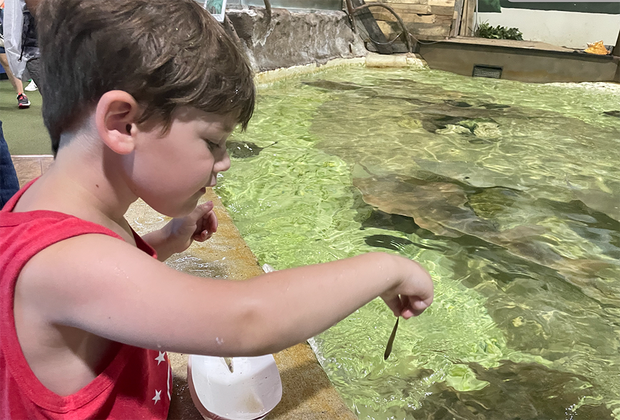 Long Island Aquarium child feeding stingrays