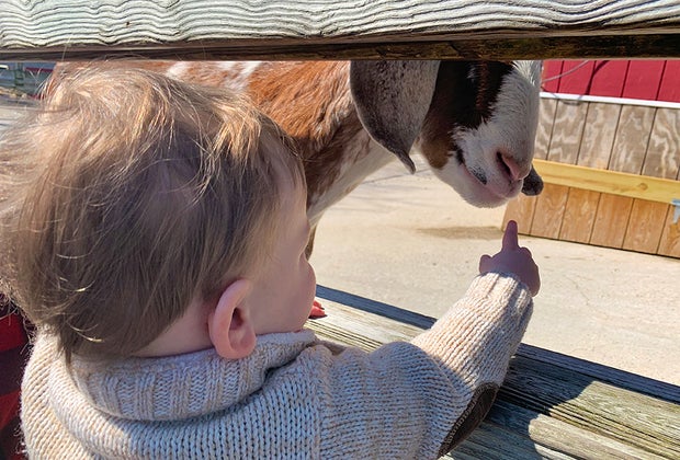 Holsville Ecology Site and Animal Preserve