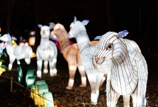 Open on Christmas on Long Island: New York Winter Lantern Festival in Suffolk County