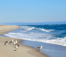 The beaches in Southampton, NY, are some of the finest beaches in the country. 