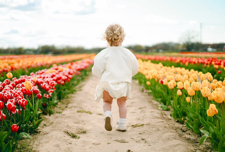 Best Spring Festivals on Long Island for Kids and Families Close to 500,000 tulips and other spring bulbs will bloom at Waterdrinker Family Farm & Garden. Photo by @nics photography