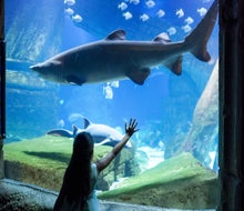 With the Downtown Deals Travel Pass, you’ll get discounts on family-friendly attractions like the Long Island Aquarium.