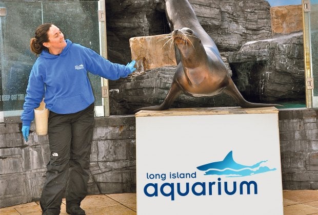 Long Island Aquarium