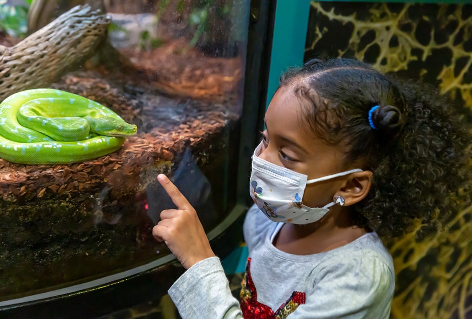 Things To Do in New Jersey This Weekend and Beyond: Ice Harvest, Groundhog Day, and More Bring your preschoolers to the Liberty Science Center every Thursday and Friday for Junior Days. Photo courtesy of LSC