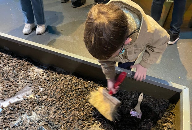 digging for fossils Dinosaurs Stomp and Roar at Long Island Children's Museum