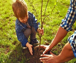 Photo courtesy of Linvilla Orchards
