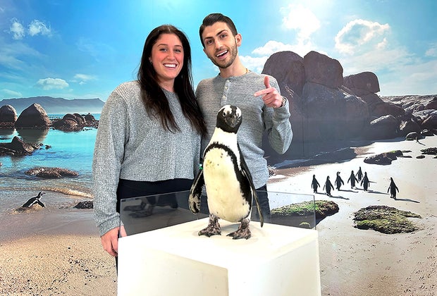 Swim with Sharks, Meet Penguins, and Other Animal Experiences at the Long Island Aquarium