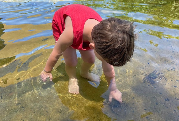 Swim with Sharks, Meet Penguins, and Other Animal Experiences at the Long Island Aquarium