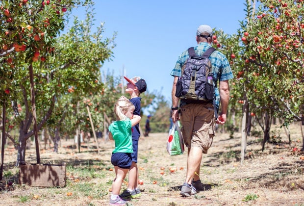 Apple Picking near Los Angeles: Los Rios Rancho