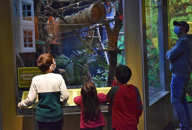 Come eye-to-eye with animals at the Liberty Science Center's Wild About Animals exhibit