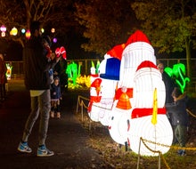 LuminoCity will light up the night in Gaithersburg, Photo courtesy of LuminoCity