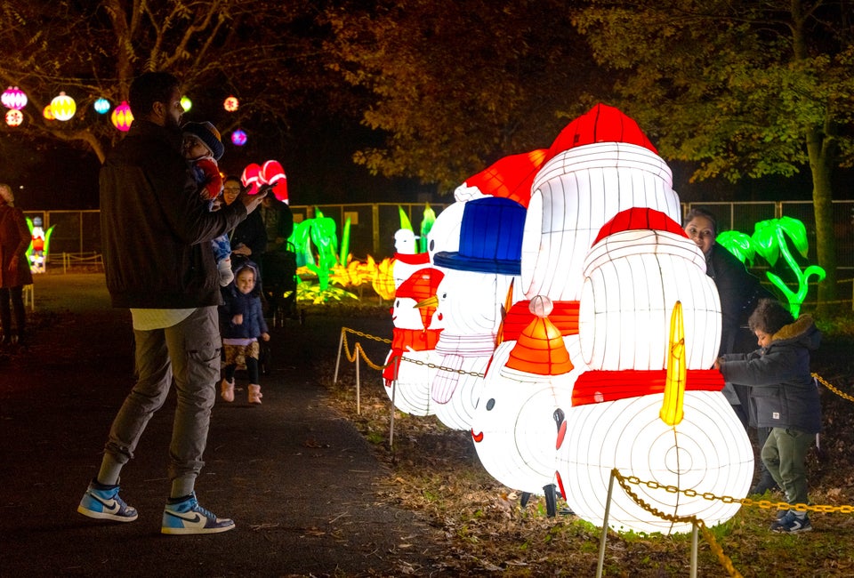 LuminoCity will light up the night in Gaithersburg, Photo courtesy of LuminoCity
