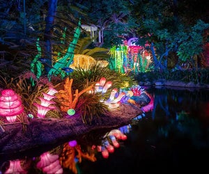 Luminosa: A Festival of Lights is a jungle-themed lights display. Photo courtesy of  Luminosa: A Festival of Lights