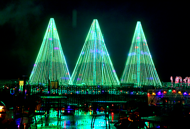 LED Christmas trees are one of the Magic of Lights highlights