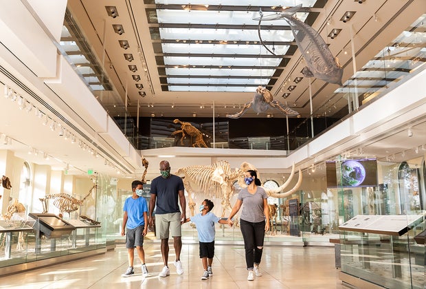 Top Attractions in Los Angeles: Natural History Museum