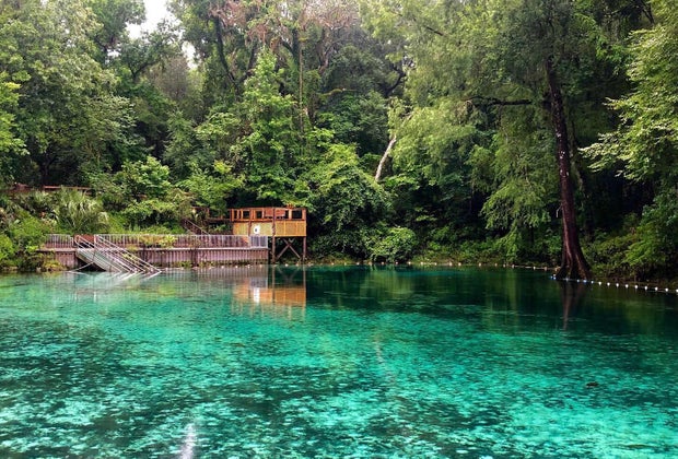 Manatee Springs State Park: Best Places to See Manatees Near Orlando