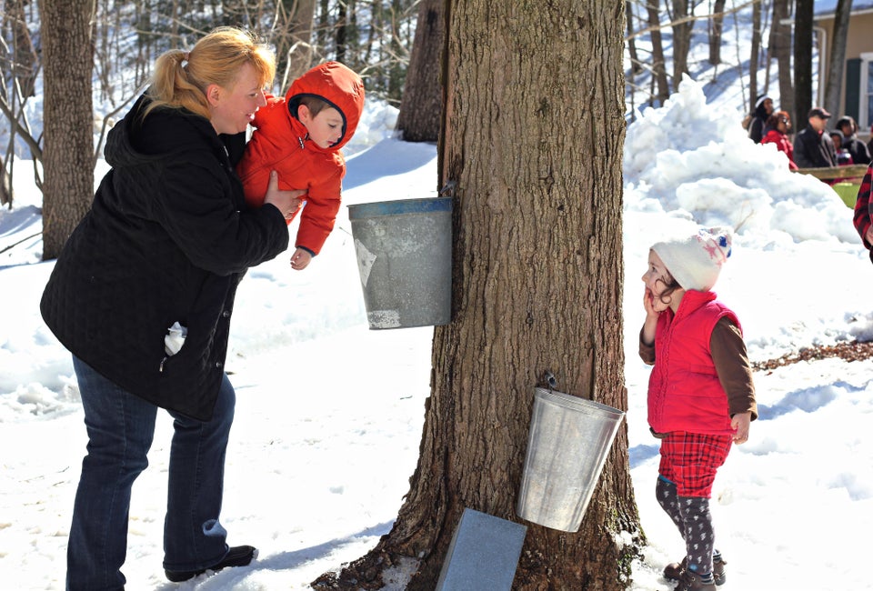 It's maple sugaring season: How sweet it is. Photo courtesy of Philly Parks & Rec