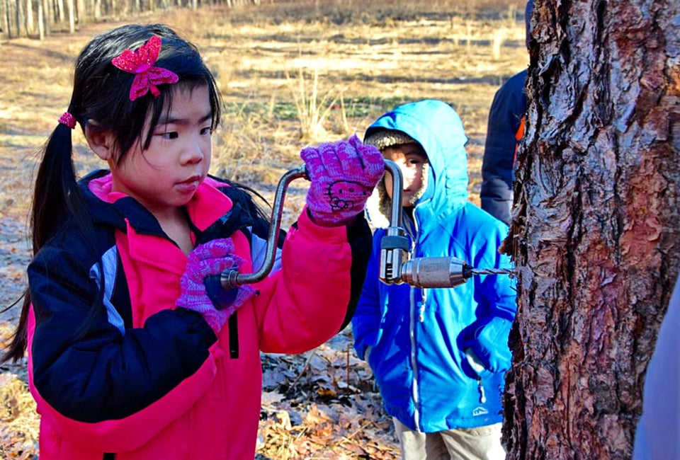 Enjoy maple sugaring month at the Brookside Nature Center. Photo courtesy of Montgomery Parks