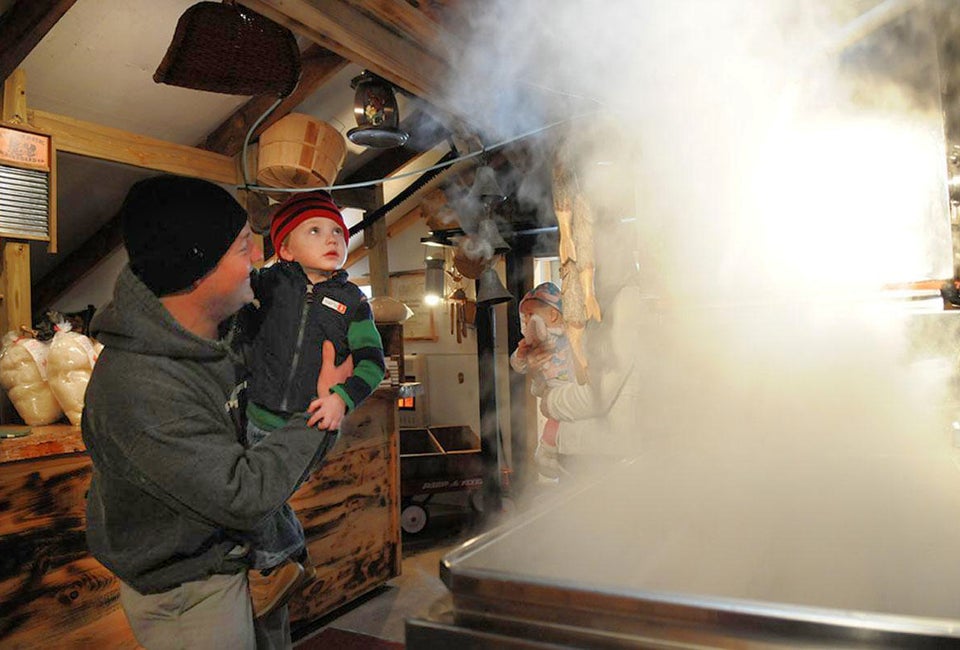 Things To Do in Connecticut this Weekend: St. Patrick's Day Crafts, Maple Sugaring, Cardboard Sled Race, Theater Smell and see how maple syrup is made. Photo courtesy of Visit CT