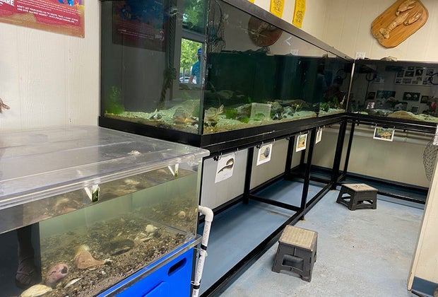 Aquariums in the Marine Education Center