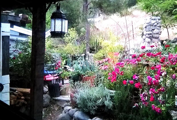 California Vacation Home Rentals for Families: A Topanga cottage
