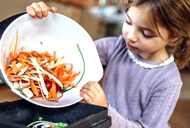 Holidays & Activities for May 2025 Learn about Composting Day