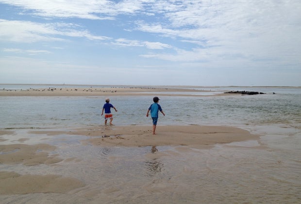 photo of a family on a beach, a Boston Father's Day thing to do.