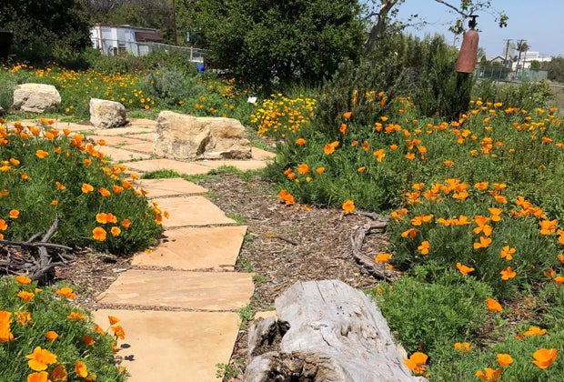 Things To Do with Kids in Manhattan Beach: Botanical Gardens