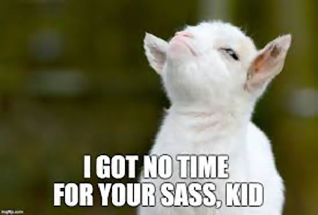 goat kid meme