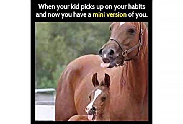 mini me horse meme