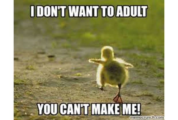 baby duck adulting meme
